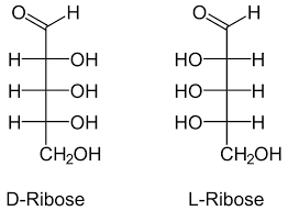D-Ribose