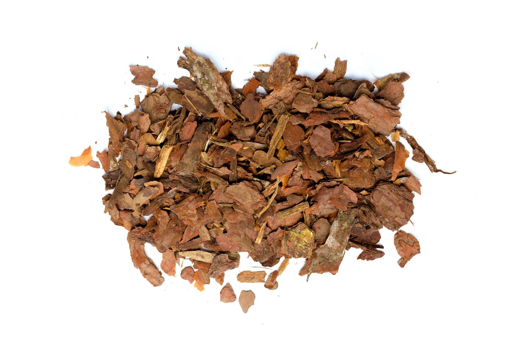 Pinienrinden Extrakt