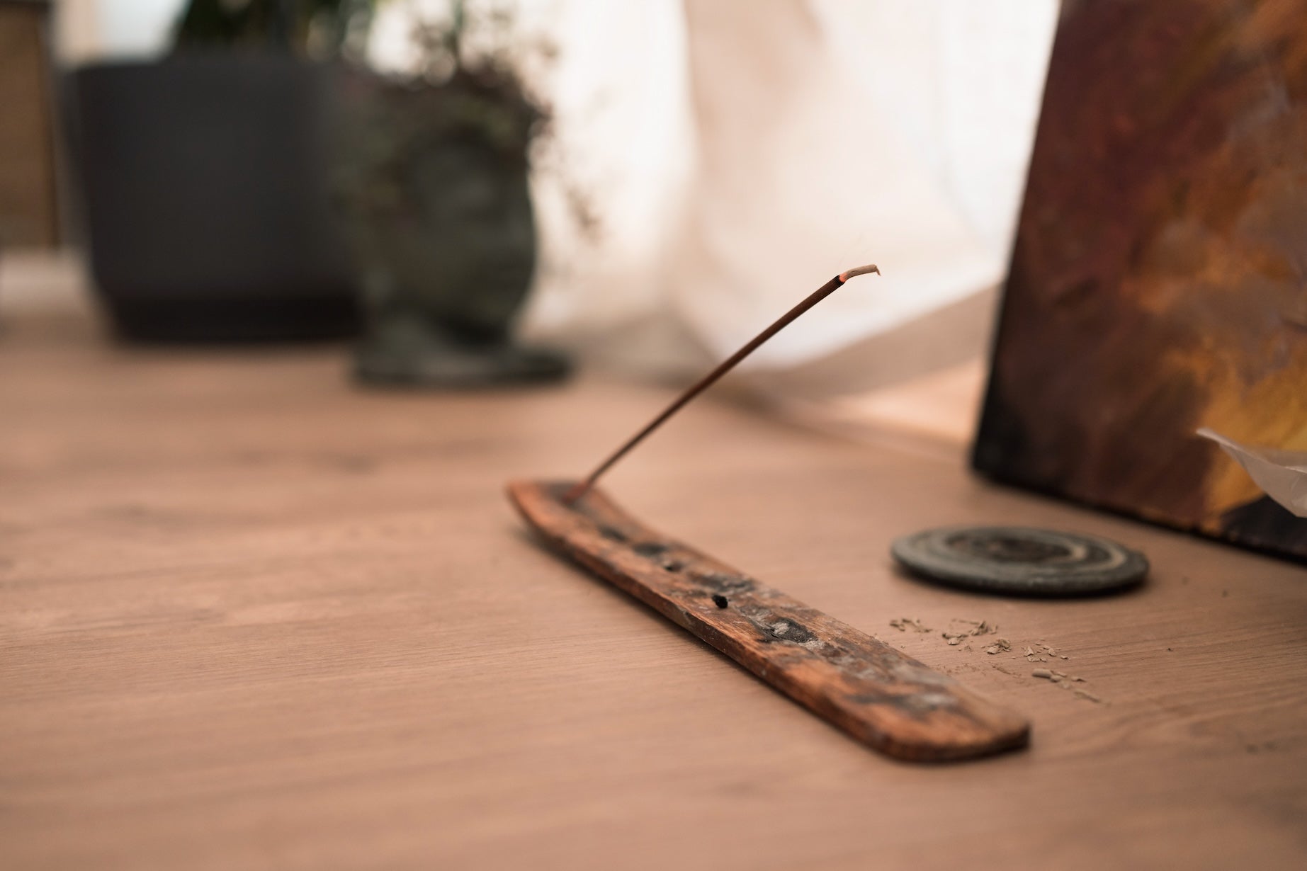 Boswellia Serrata Extrakt