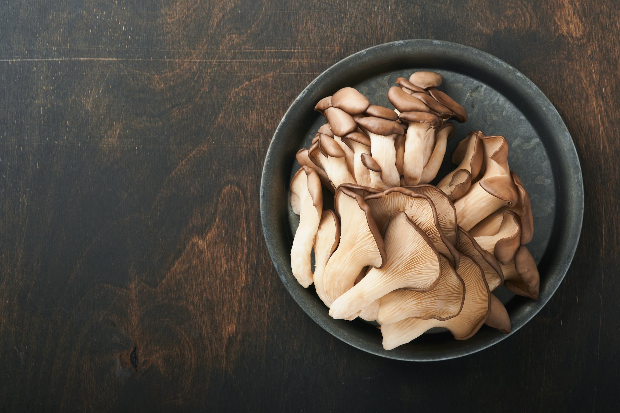 Austernseitling-Extrakt