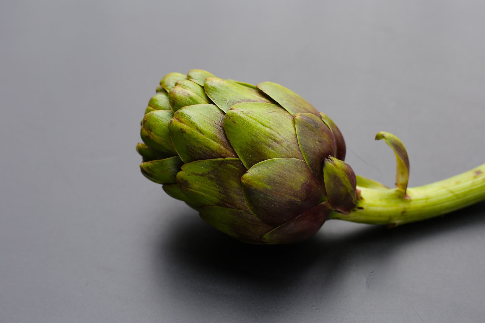 Artischocken-Extrakt