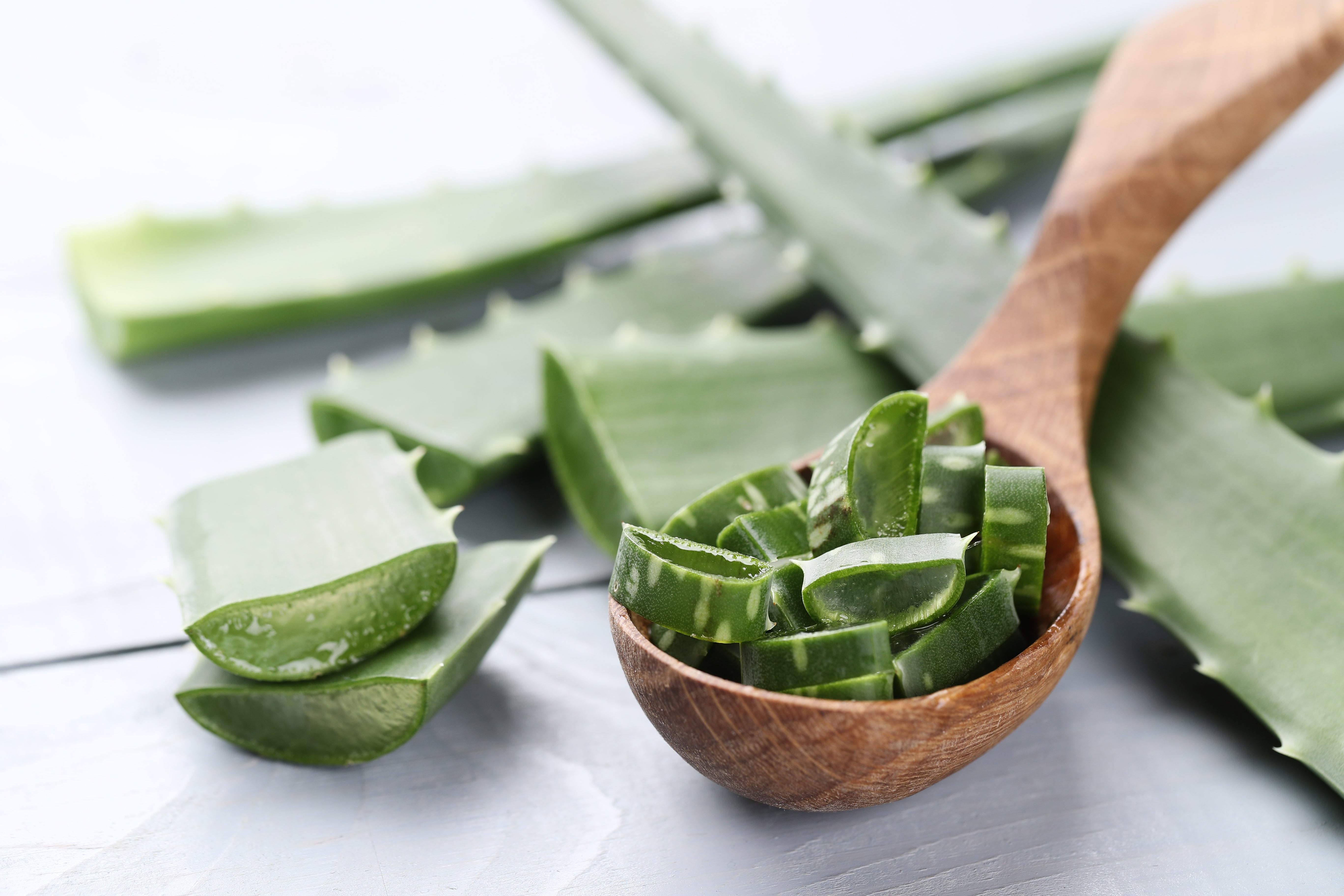 Aloe Vera Extrakt
